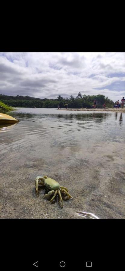 Hostal Estrellas Del Tayrona Playa Mendihuaca Guachaca Luaran gambar